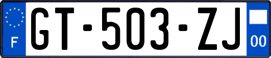 GT-503-ZJ