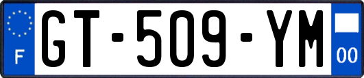 GT-509-YM