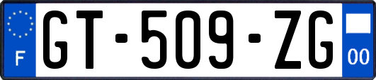 GT-509-ZG