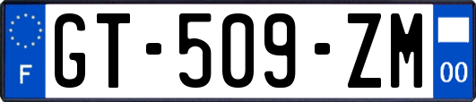 GT-509-ZM