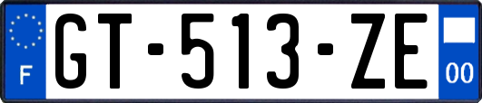 GT-513-ZE