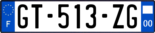 GT-513-ZG