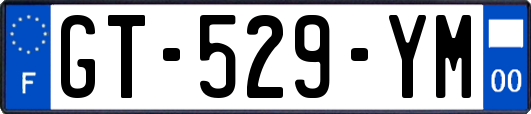 GT-529-YM