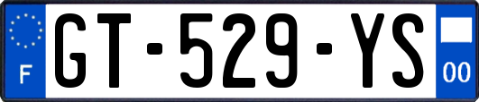 GT-529-YS