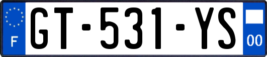 GT-531-YS