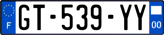 GT-539-YY