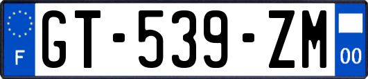 GT-539-ZM