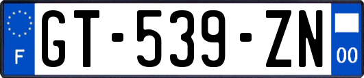 GT-539-ZN