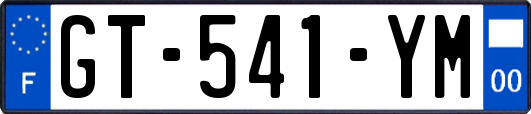 GT-541-YM