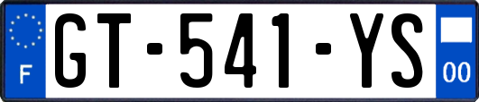 GT-541-YS