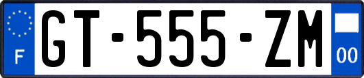 GT-555-ZM