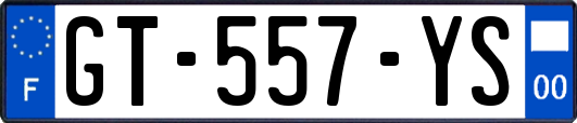 GT-557-YS