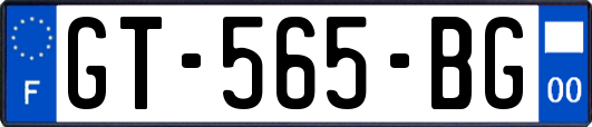 GT-565-BG