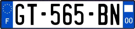 GT-565-BN