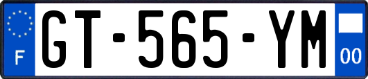 GT-565-YM