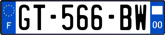 GT-566-BW