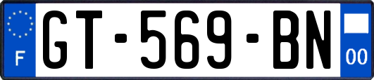 GT-569-BN