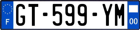 GT-599-YM