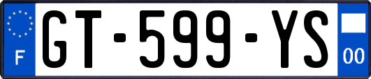 GT-599-YS