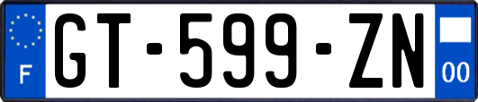 GT-599-ZN
