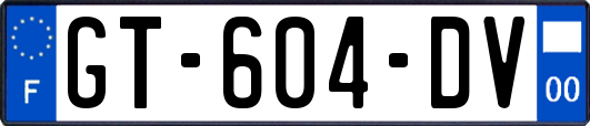 GT-604-DV