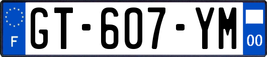 GT-607-YM