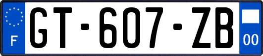 GT-607-ZB