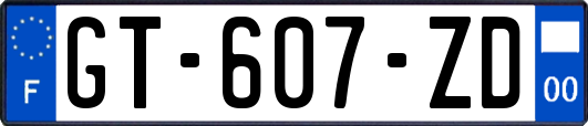 GT-607-ZD