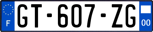 GT-607-ZG