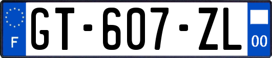 GT-607-ZL
