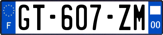 GT-607-ZM