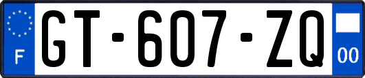 GT-607-ZQ