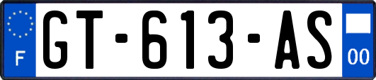 GT-613-AS