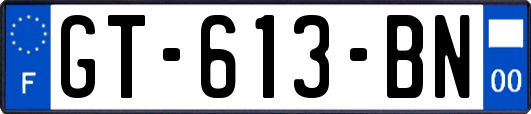 GT-613-BN