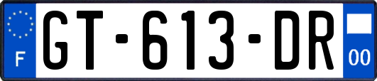 GT-613-DR