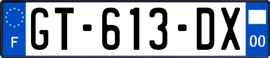 GT-613-DX