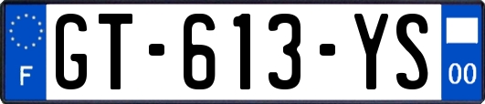 GT-613-YS