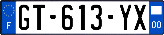 GT-613-YX
