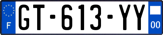 GT-613-YY