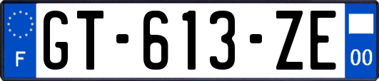 GT-613-ZE