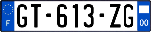 GT-613-ZG