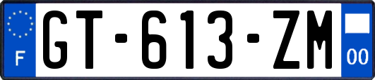 GT-613-ZM