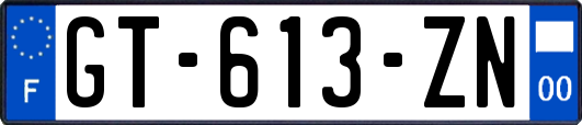 GT-613-ZN