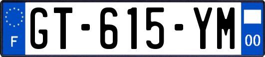 GT-615-YM