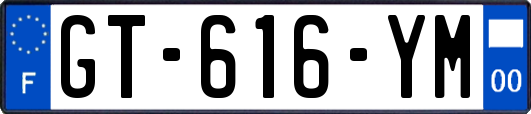 GT-616-YM