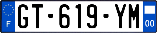 GT-619-YM