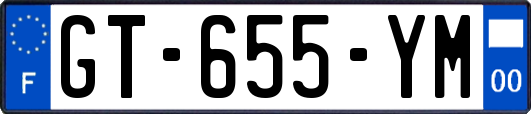 GT-655-YM
