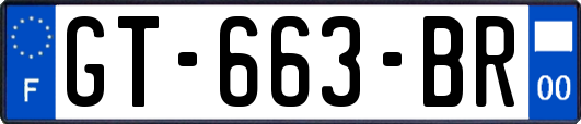 GT-663-BR