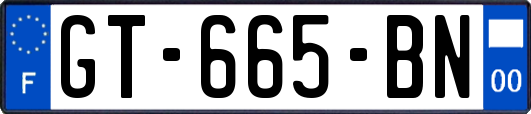 GT-665-BN