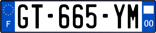 GT-665-YM